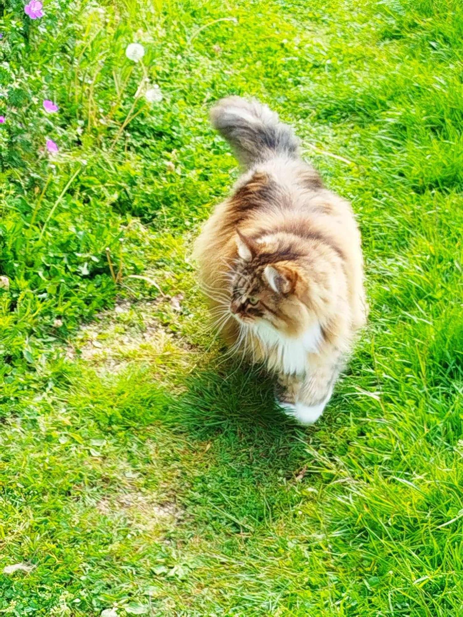 Gite Des Fours Agonges Bagian luar foto
