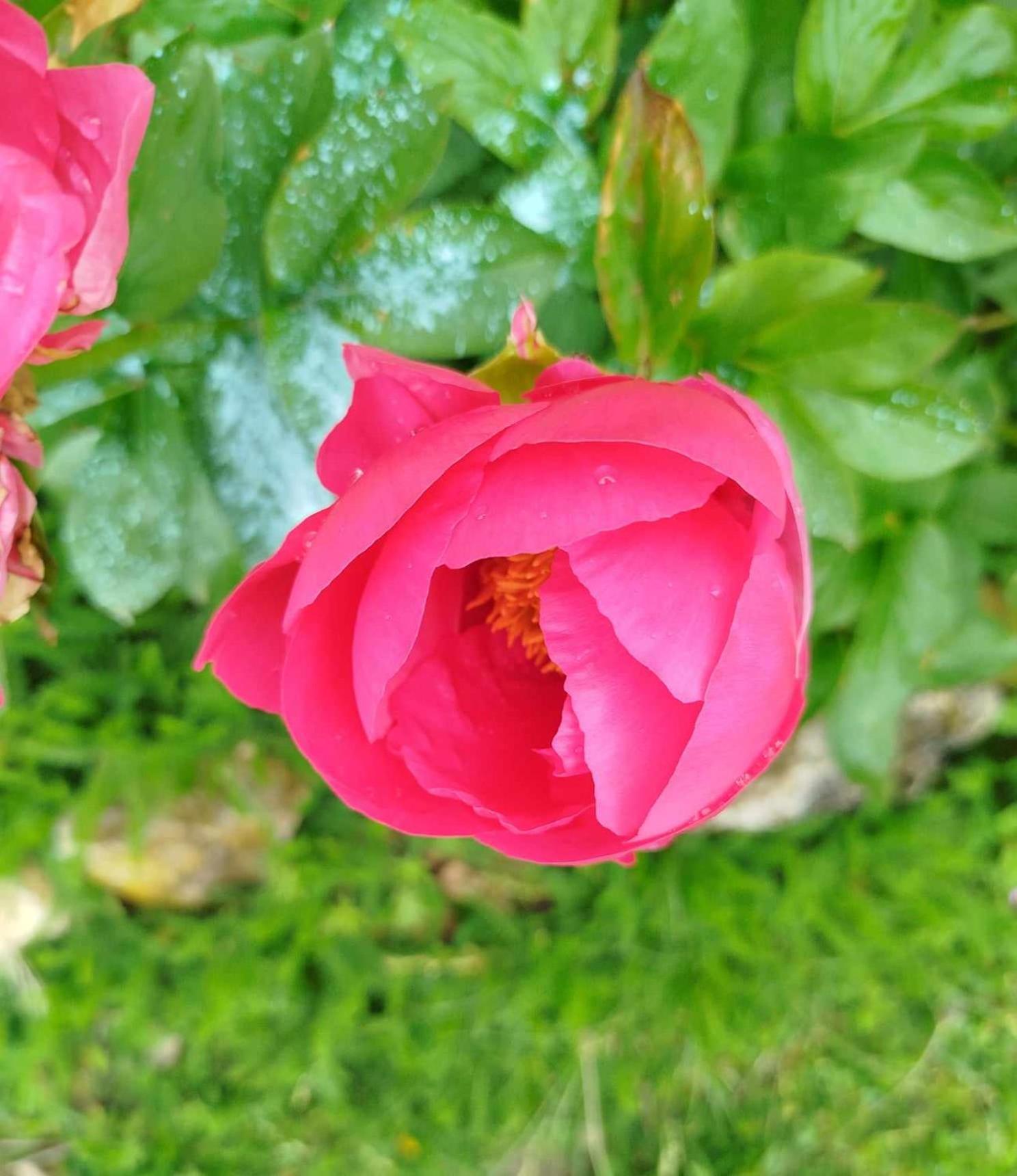 Gite Des Fours Agonges Bagian luar foto