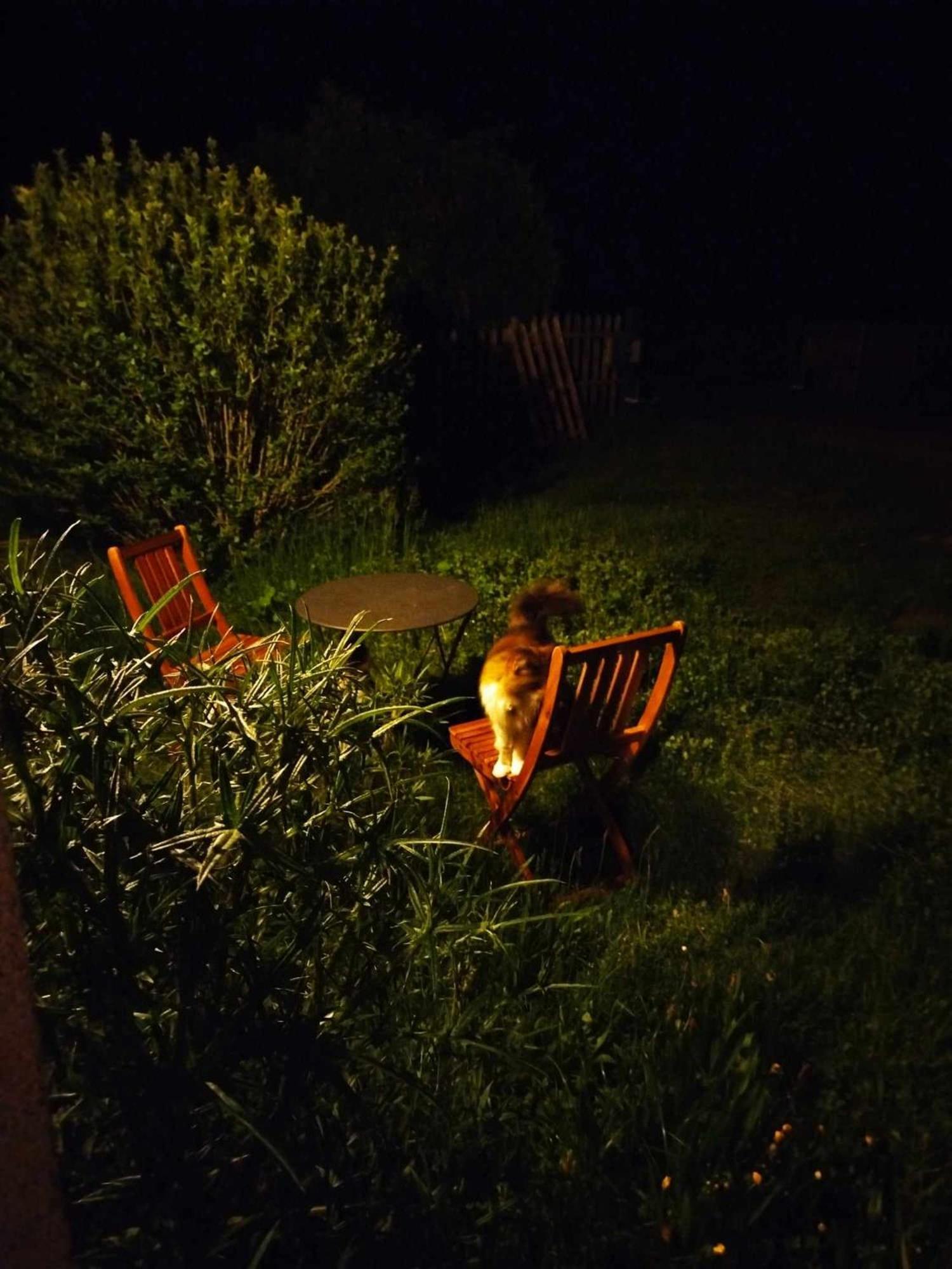 Gite Des Fours Agonges Bagian luar foto