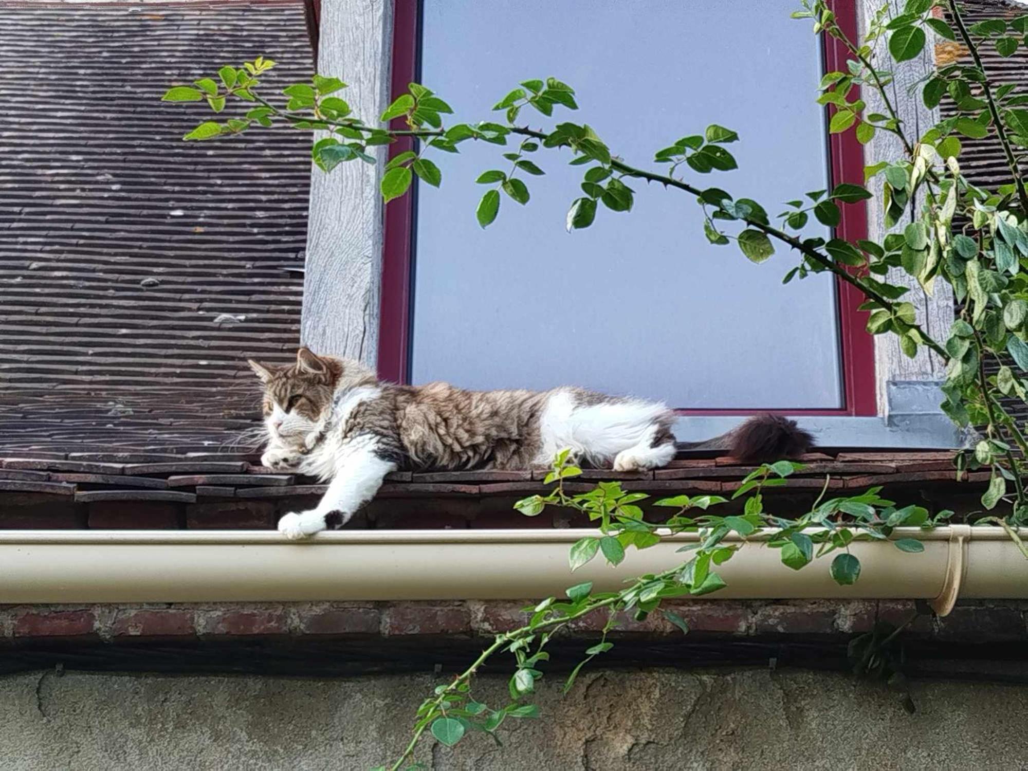 Gite Des Fours Agonges Bagian luar foto